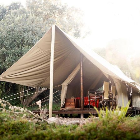 Quatermain'S 1920'S Safari Camp - שמורת הטבע אמקאלה מראה חיצוני תמונה