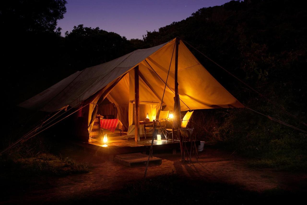 Quatermain'S 1920'S Safari Camp - שמורת הטבע אמקאלה מראה חיצוני תמונה