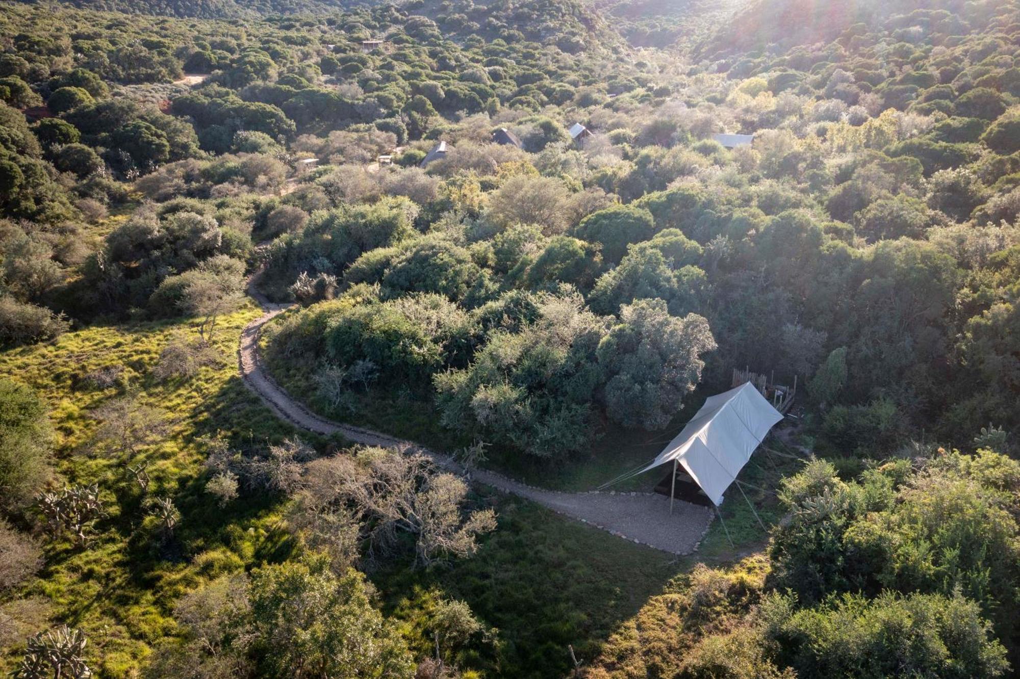 Quatermain'S 1920'S Safari Camp - שמורת הטבע אמקאלה מראה חיצוני תמונה