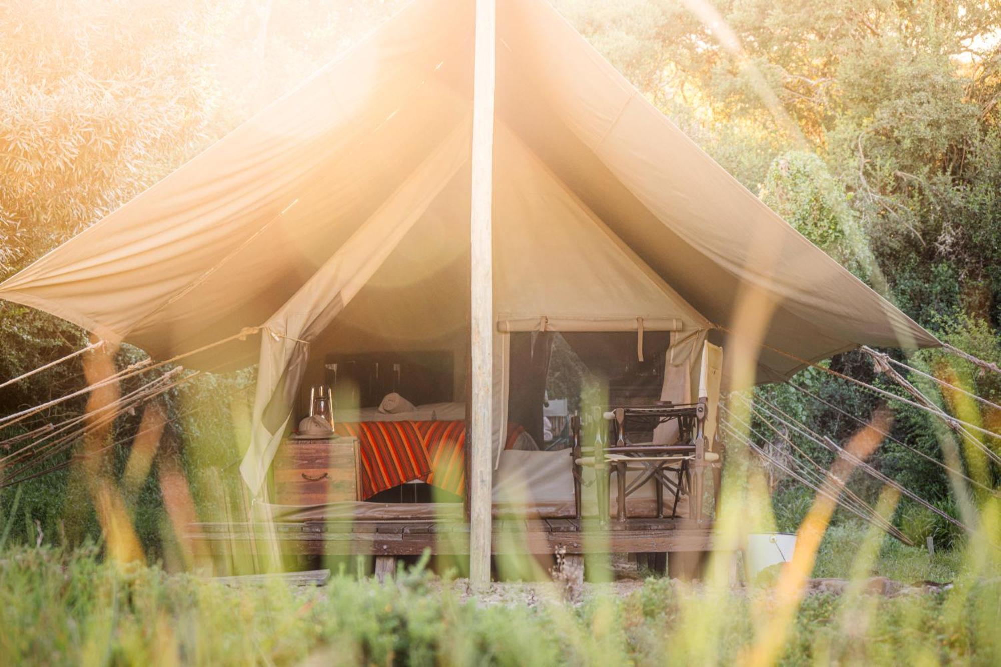 Quatermain'S 1920'S Safari Camp - שמורת הטבע אמקאלה מראה חיצוני תמונה