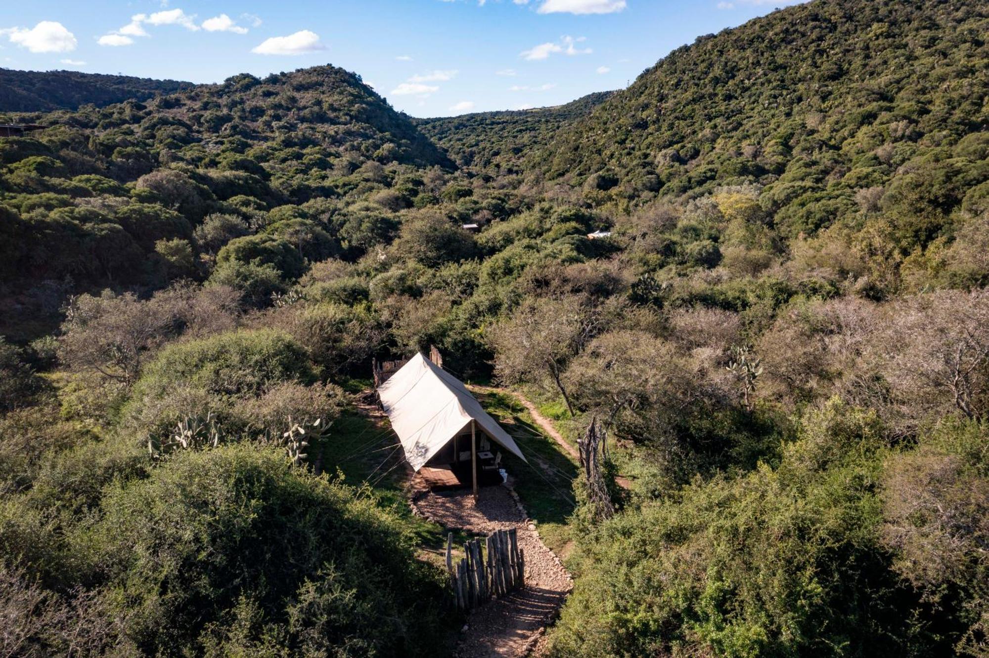 Quatermain'S 1920'S Safari Camp - שמורת הטבע אמקאלה מראה חיצוני תמונה